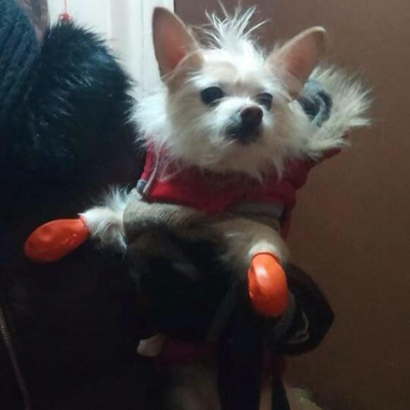 Meet your Posher, Leslie ann - Picture 1 of 1